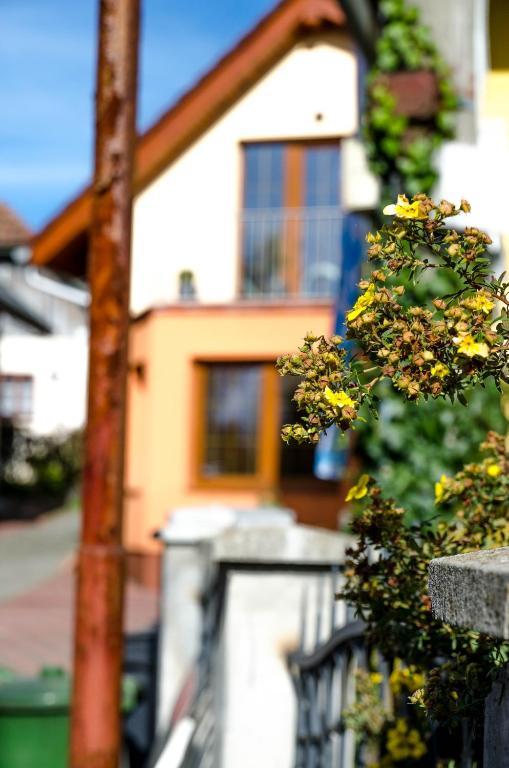 Relax Penzion U Adama Dolná Tižina Dış mekan fotoğraf
